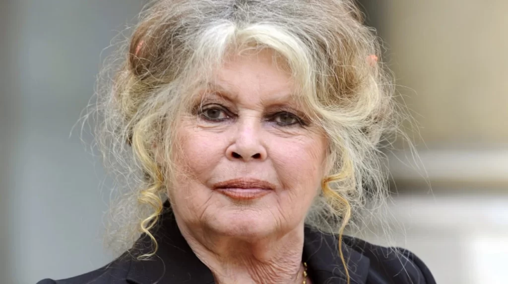 91-year-old French actress Brigitte Bardot dies on Dec 28, 2025
