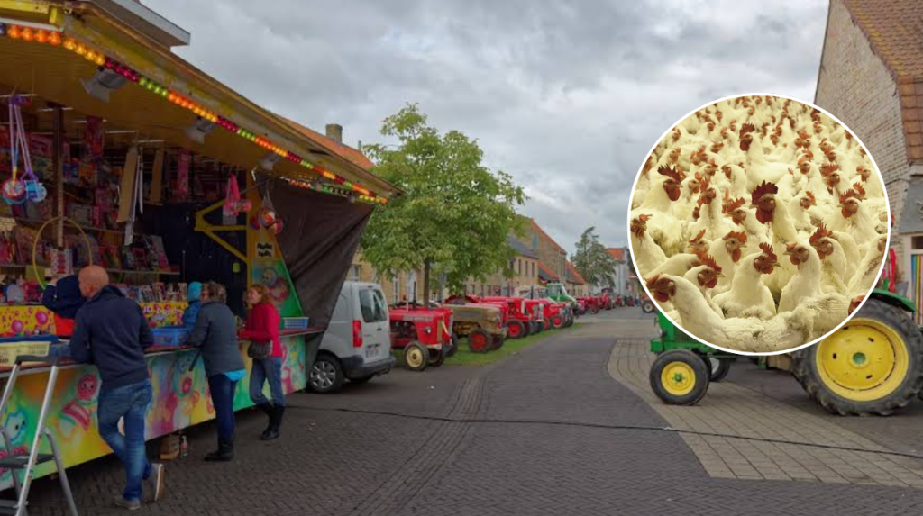 Avian flu hits Houtem farm in Veurne, thousands of chickens culled