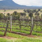 Bondi Shooters Training Probe Sparks Urgent Police Action