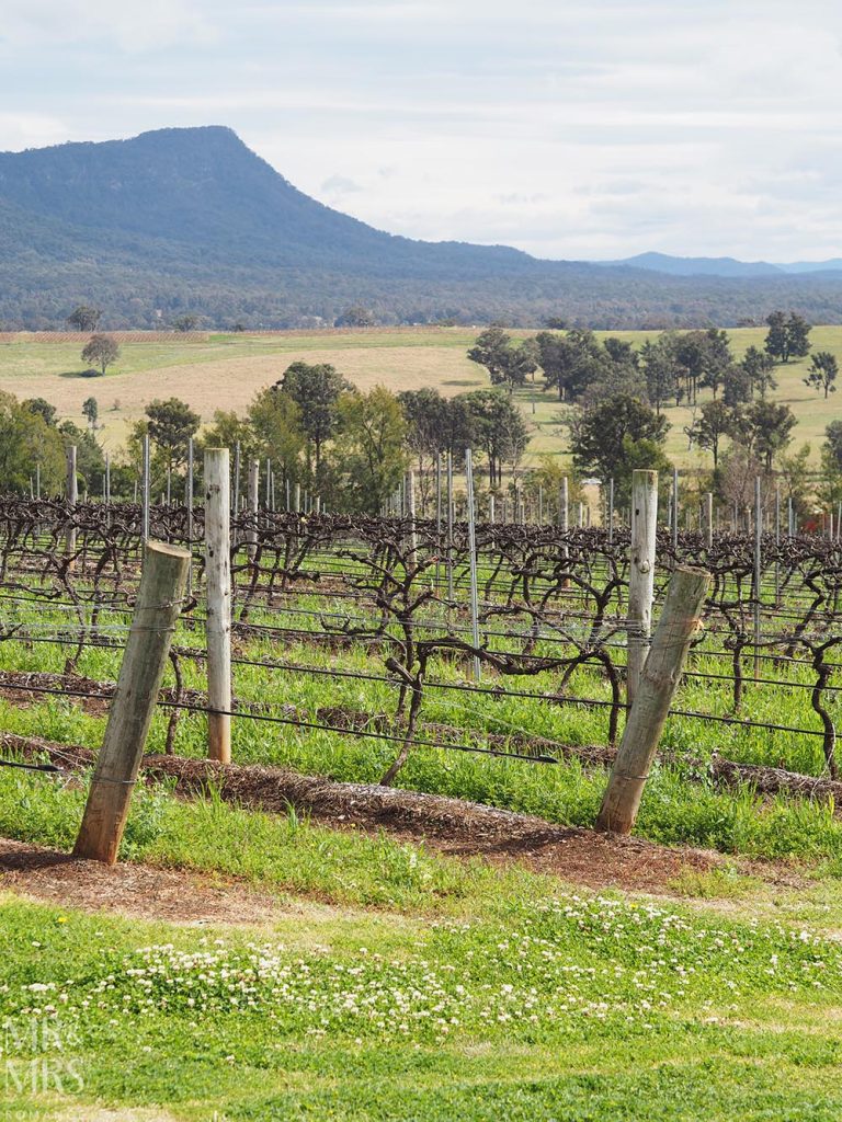 Bondi Shooters Training Probe Sparks Urgent Police Action