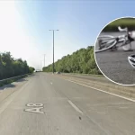 22-year-old from Asse dies in E429 crash in Halle