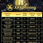 XRP Holders Income Unlocks Powerful Long Term Growth