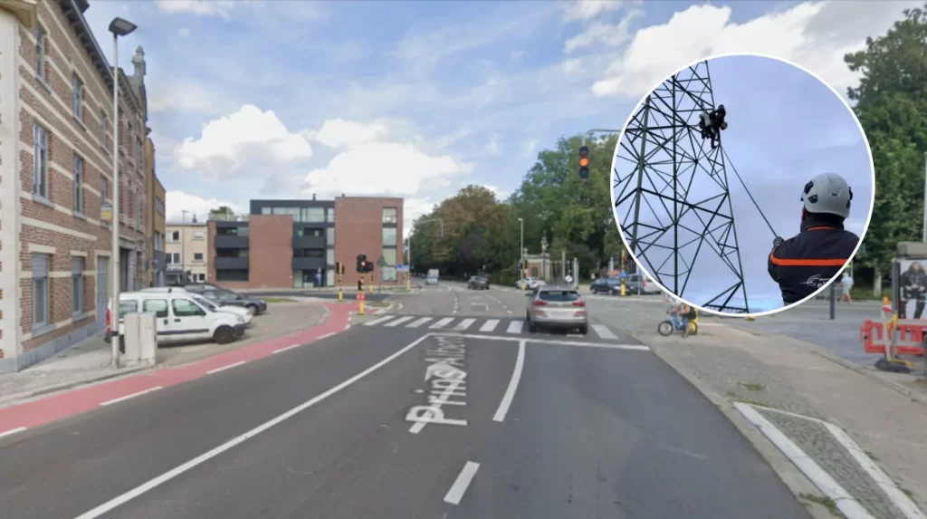 8 Kestrel nests moved on high-voltage line b/w Tienen and Sint-Truiden