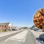 Bird flu outbreak affects poultry farms in West Flanders