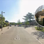 Police uncover large cannabis plantation with 550 plants in Kasterlee