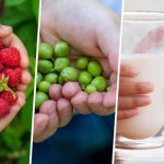 EU School Fruit and Milk Scheme Strengthens Health and Rural Regions