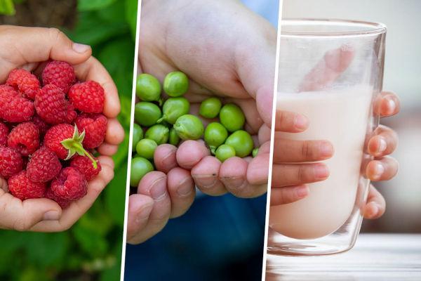 EU School Fruit and Milk Scheme Strengthens Health and Rural Regions