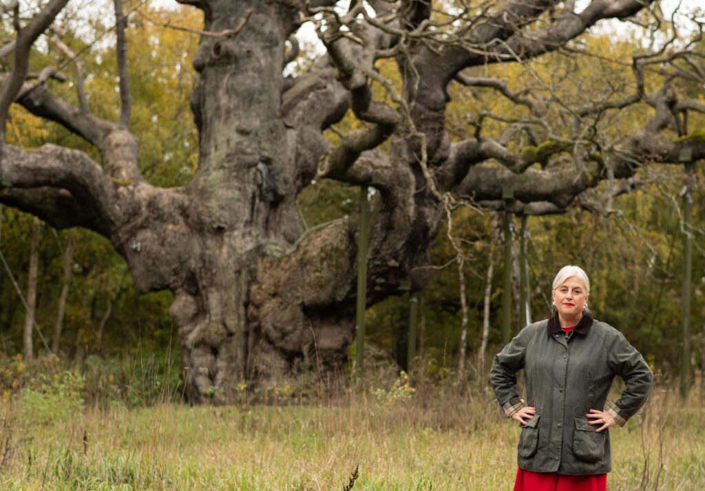 Sherwood Forest Day is not about looking back, it is about looking forward and celebrating our shared story