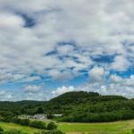 Wales Rewilding Breakthrough 2026 Cardiff