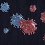 Hantavirus Outbreak at Sea Raises Global Health Concerns in 2026