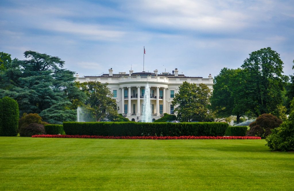 Trump Hosts White House Cage Fights Amid War, Criticism