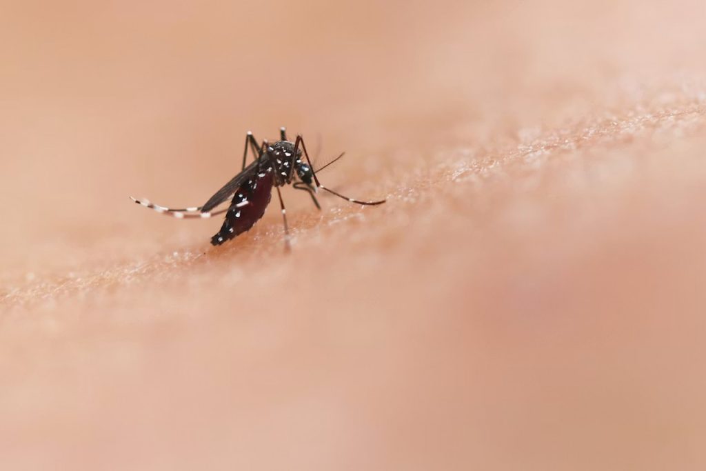 Sri Lanka Dengue Fever Outbreak Surpasses 44,000 Cases